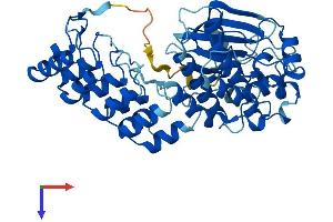 AlphaFold protein structure predicition of Mouse Recombinant Ilk Protein, UniprotID O55222