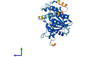 AlphaFold protein structure predicition of Mouse Recombinant B3gnt4 Protein, UniprotID Q1RLK6