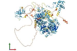 AlphaFold protein structure predicition of Human Recombinant DHX8 Protein, UniprotID Q14562