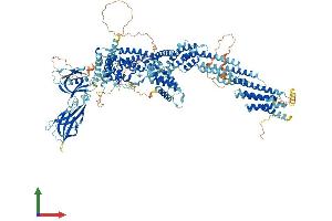 AlphaFold protein structure predicition of Human Recombinant CADPS2 Protein, UniprotID Q86UW7