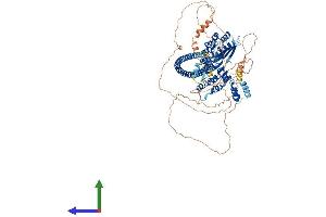 AlphaFold protein structure predicition of Human Recombinant FBXO41 Protein, UniprotID Q8TF61