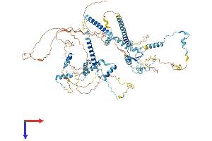 AlphaFold protein structure predicition of Mouse Recombinant Sart1 Protein, UniprotID Q9Z315