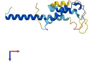 AlphaFold protein structure predicition of Human Recombinant THRSP Protein, UniprotID Q92748