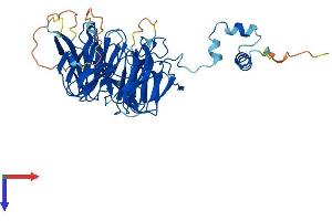 AlphaFold protein structure predicition of Human Recombinant ITFG2 Protein, UniprotID Q969R8