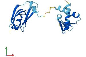 AlphaFold protein structure predicition of Mouse Recombinant Gemin6 Protein, UniprotID Q9CX53
