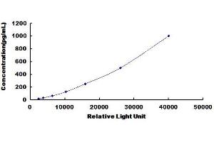 Typical standard curve