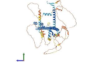 AlphaFold protein structure predicition of Mouse Recombinant Nfe2l2 Protein, UniprotID Q60795