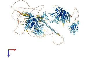 AlphaFold protein structure predicition of Mouse Recombinant Eif2ak4 Protein, UniprotID Q9QZ05