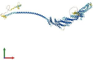 AlphaFold protein structure predicition of Mouse Recombinant Cog3 Protein, UniprotID Q8CI04
