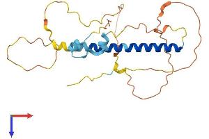 AlphaFold protein structure predicition of Mouse Recombinant Lurap1 Protein, UniprotID Q9D6I9