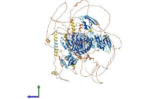 AlphaFold protein structure predicition of Mouse Recombinant Scrib Protein, UniprotID Q80U72