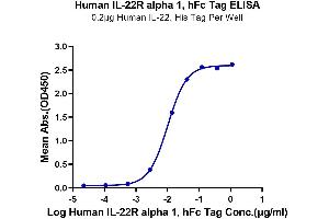 Immobilized Human IL-22, His Tag at 2 μg/mL (100 μL/Well) on the plate.