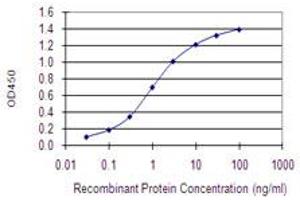 Detection limit for recombinant GST tagged WDHD1 is 0. (WDHD1 anticorps  (AA 1031-1128))