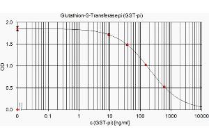 ELISA standard curve showing measurement of GST-pi in a competitive immunoassay using ABIN110088. (GSTP1 anticorps)
