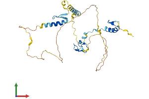 AlphaFold protein structure predicition of Human Recombinant ZC2HC1A Protein, UniprotID Q96GY0