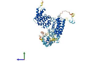 AlphaFold protein structure predicition of Mouse Recombinant Thoc1 Protein, UniprotID Q8R3N6