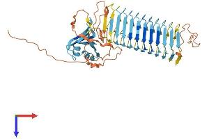 AlphaFold protein structure predicition of Human Recombinant DAZ3 Protein, UniprotID Q9NR90
