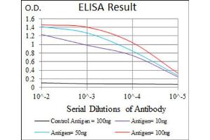 Red: Control Antigen (100ng) ; Purple: Antigen (10ng) ; Green: Antigen (50ng) ; Blue: Antigen (100ng). (ALPL anticorps)