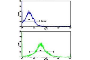 Flow cytometric analysis of K-562 cells using MMP19 polyclonal antibody (bottom histogram) compared to a negative control cell (top histogram). (MMP19 anticorps  (C-Term))
