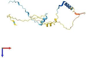 AlphaFold protein structure predicition of Mouse Recombinant Ppp1r1a Protein, UniprotID Q9ERT9