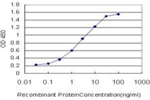 Detection limit for recombinant GST tagged KYNU is approximately 0.