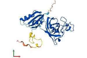 AlphaFold protein structure predicition of Human Recombinant CCS Protein, UniprotID O14618