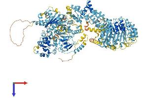 AlphaFold protein structure predicition of Mouse Recombinant Naip1 Protein, UniprotID Q9QWK5