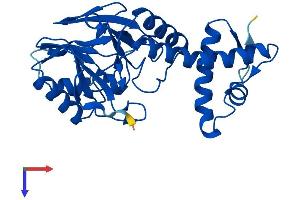 AlphaFold protein structure predicition of Human Recombinant LACTB2 Protein, UniprotID Q53H82