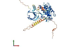 AlphaFold protein structure predicition of Human Recombinant CAMK1D Protein, UniprotID Q8IU85