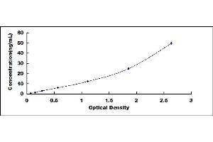 Typical standard curve (Flotillin 1 Kit ELISA)