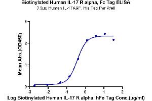 Immobilized Human IL-17A&F at 5 μg/mL (100 μL/well) on the plate.