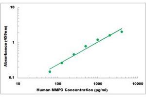 Representative Standard Curve (MMP3 Kit ELISA)