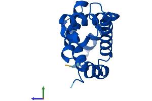 AlphaFold protein structure predicition of Human Recombinant HBQ1 Protein, UniprotID P09105
