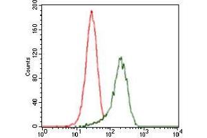 Flow cytometric analysis of HeLa cells using SHH mouse mAb (green) and negative control (red).