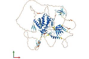 AlphaFold protein structure predicition of Mouse Recombinant Arhgap27 Protein, UniprotID A2AB59