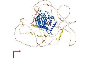AlphaFold protein structure predicition of Human Recombinant PTPN12 Protein, UniprotID Q05209