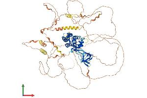 AlphaFold protein structure predicition of Mouse Recombinant Rusc1 Protein, UniprotID Q8BG26