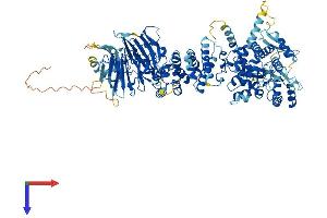 AlphaFold protein structure predicition of Human Recombinant HERC5 Protein, UniprotID Q9UII4
