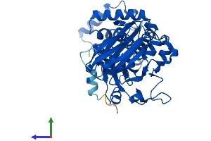 AlphaFold protein structure predicition of Human Recombinant SEC14L2 Protein, UniprotID O76054