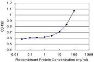 PRDX3 (Human) Matched Antibody Pair