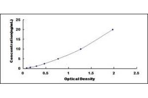 Typical standard curve (DBP Kit ELISA)