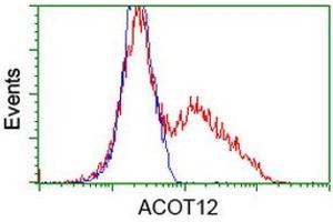 HEK293T cells transfected with either RC210445 overexpress plasmid (Red) or empty vector control plasmid (Blue) were immunostained by anti-ACOT12 antibody (ABIN2454263), and then analyzed by flow cytometry. (ACOT12 anticorps)