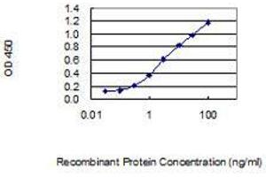 Detection limit for recombinant GST tagged WDR73 is 0.
