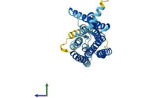 AlphaFold protein structure predicition of Human Recombinant OR2M4 Protein, UniprotID Q96R27