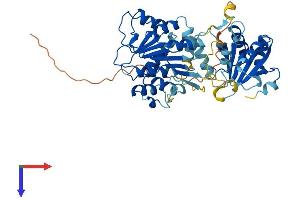 AlphaFold protein structure predicition of Human Recombinant DDX25 Protein, UniprotID Q9UHL0