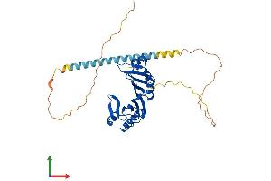AlphaFold protein structure predicition of Human Recombinant TBP Protein, UniprotID P20226