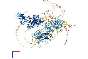 AlphaFold protein structure predicition of Mouse Recombinant Nisch Protein, UniprotID Q80TM9