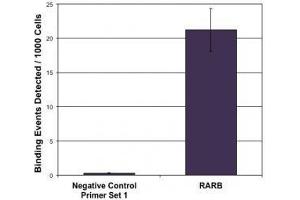 LXR-β pAb tested by ChIP-qPCR. (NR1H2 anticorps  (N-Term))