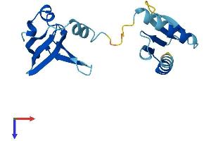 AlphaFold protein structure predicition of Mouse Recombinant Gemin6 Protein, UniprotID Q9CX53
