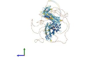 AlphaFold protein structure predicition of Human Recombinant KIF14 Protein, UniprotID Q15058